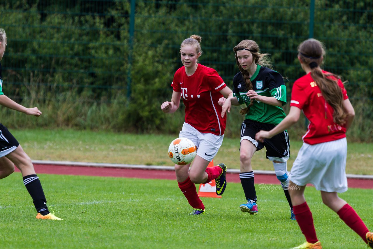 Bild 120 - C-Juniorinnen Landesmeister Finale SV Wahlstedt - TuRa Meldorf : Ergebnis: 1:4